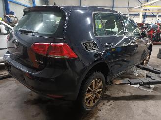 Volkswagen Golf Golf VII (AUA) Hatchback 1.6 TDI BlueMotion 16V (CRKB) [81kW]  (01-201=
3/03-2020) picture 3