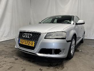 Schadeauto Audi A3 A3 Sportback (8PA) Hatchback 5-drs 1.9 TDI (BLS) [77kW]  (09-2004/05-2=
010) 2008/9