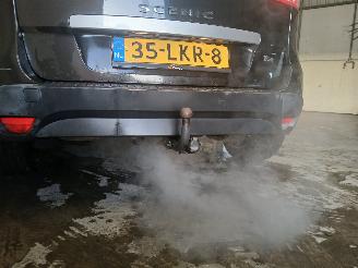 Renault Scenic Scénic III (JZ) MPV 1.4 16V TCe 130 (H4J-700(H4J-A7)) [96kW]  (02-20=
09/09-2016) picture 21