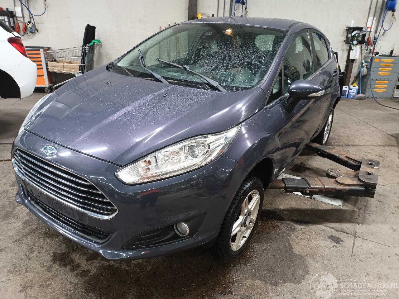 Ford Fiesta Fiesta 6 (JA8) Hatchback 1.0 EcoBoost 12V 100 (SFJA(Euro 5)) [74kW]  (=
01-2013/06-2017)