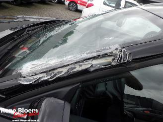 Ford Focus 1.0 EcoBoost Titanium Hybrid picture 22