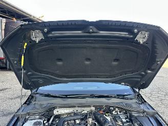Volkswagen Golf 1.0 TSI 110pk 6-bak Life Edition 5drs - nap - virtual - carplay - front + line assist - sfeerverl - pdc v+a picture 78