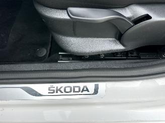 Skoda Fabia Gereserveerd 1.0 TSI 95pk Clever - org nl - front assist - pdc - airco - cruise - navi - privacy glass - rijdbaar picture 62