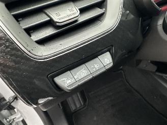Renault Arkana 1.6 E-Tech Hybrid 145pk 8-traps aut RS-Line - pano - 360cam - carbon - leer - keyless - stuurverw - bomvol picture 33