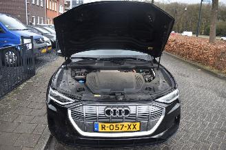 Audi E-tron 55 Quattro Edition 95Kwh 3 FASE 408Pk *Navi/Clima/Stoelverwarming/Panorama picture 15