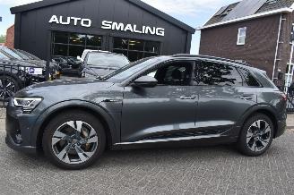 Voiture accidenté Audi E-tron 71Kwh Quattro 50 S Line 313Pk SOH 99% 3FASE *Navi/Clima/Stoelverwarming/Panorama 2019/12