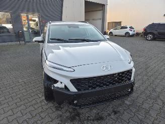 Hyundai Kona 88kw 48v / NAVI / CAMERA / CLIMA picture 11