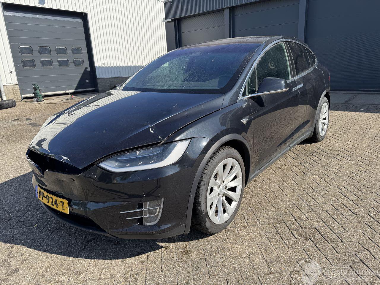 Tesla Model X 90D Base 6persoons/autopilot/volleder/nap