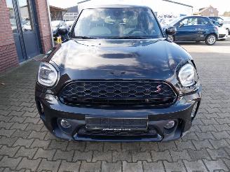 Mini Countryman ALL 4 NORTHWOOD PANORAMADAK LEER LED picture 3