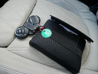 Mini Countryman ALL 4 NORTHWOOD PANORAMADAK LEER LED picture 11