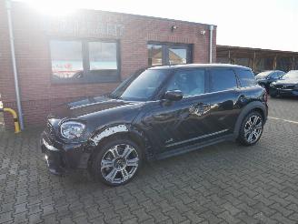 Schadeauto Mini Countryman ALL 4 NORTHWOOD PANORAMADAK LEER LED 2021/8