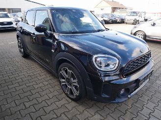 Mini Countryman ALL 4 NORTHWOOD PANORAMADAK LEER LED picture 4