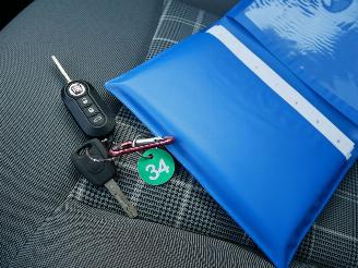 Fiat 500 LOUNGE PANORAMADAK picture 19