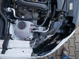 Skoda Kamiq MONTE CARLO PANORAMADAK LED picture 9