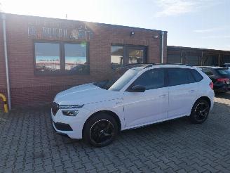 skadebil auto Skoda Kamiq MONTE CARLO PANORAMADAK LED 2024/3