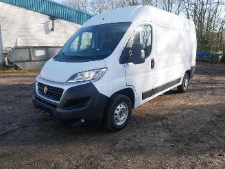occasion commercial vehicles Fiat Ducato L2H2 2019/9