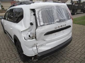 Dacia Jogger TCe  Extreme Edition 54.200km  Climat Navi Camera Keyless-Go picture 7