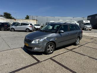 Auto incidentate Skoda Fabia 1.2 TSI Fresh 2013/10