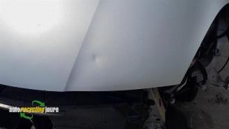 Nissan Pixo Pixo (D31S), Hatchback, 2009 1.0 12V picture 4