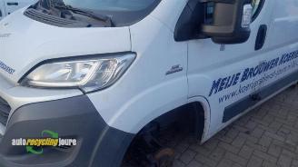 Fiat Ducato onderdelen (donorauto) kleurcode: 549 picture 13