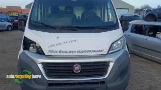 Fiat Ducato onderdelen (donorauto) kleurcode: 549 picture 16