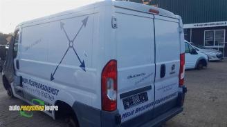 Fiat Ducato onderdelen (donorauto) kleurcode: 549 picture 6