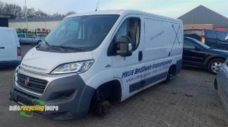 Fiat Ducato onderdelen (donorauto) kleurcode: 549 picture 12