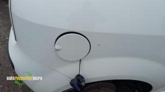 Fiat Punto Punto Evo (199), Hatchback, 2009 / 2012 1.3 JTD Multijet 85 16V Euro 5 picture 7