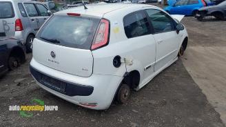 Fiat Punto Punto Evo (199), Hatchback, 2009 / 2012 1.3 JTD Multijet 85 16V Euro 5 picture 6