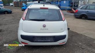 Fiat Punto Punto Evo (199), Hatchback, 2009 / 2012 1.3 JTD Multijet 85 16V Euro 5 picture 9