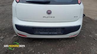 Fiat Punto Punto Evo (199), Hatchback, 2009 / 2012 1.3 JTD Multijet 85 16V Euro 5 picture 11