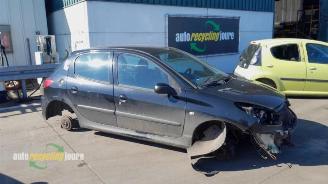 Uttjänta bilar auto Peugeot 206 206+ (2L/M), Hatchback, 2009 / 2013 1.4 XS 2008/1