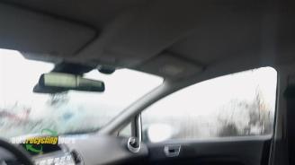 Ford Fiesta Fiesta 6 (JA8), Hatchback, 2008 / 2018 1.6 TDCi 16V ECOnetic picture 13