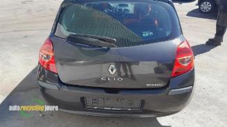 Renault Clio Clio III (BR/CR), Hatchback, 2005 / 2014 1.2 16V 75 picture 13