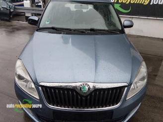 Skoda Fabia Fabia II Combi, Combi 5-drs, 2007 / 2015 1.2 TDI 12V Greenline picture 20