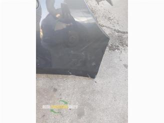 Renault Clio Clio III (BR/CR), Hatchback, 2005 / 2014 1.6 16V picture 25