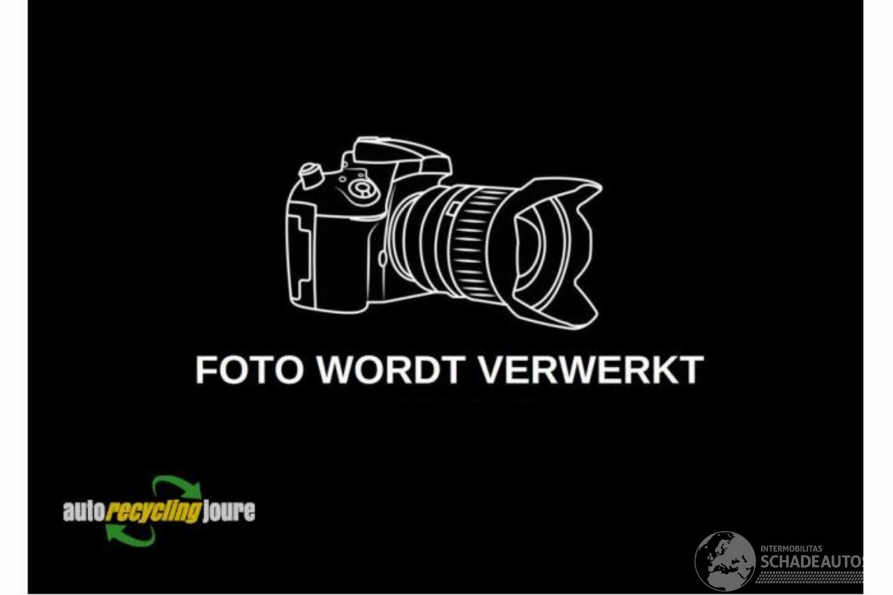 Fiat Punto Punto Evo (199), Hatchback, 2008 / 2012 1.3 JTD Multijet 85 16V Euro 5