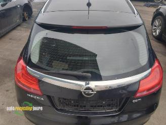 Opel Insignia Insignia Sports Tourer, Combi, 2008 / 2017 2.0 CDTI 16V 160 Ecotec picture 13