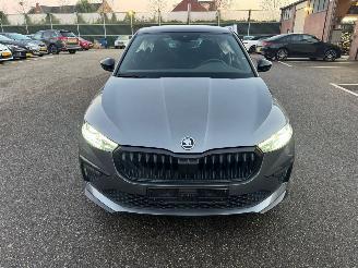 Avarii autoturisme Skoda Scala Monte Carlo 1.0 85 kw Pano automaat 2024/1