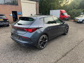 Cupra Leon Leon 150pk Pano Kuipstoelen sfeer verlichting picture 5