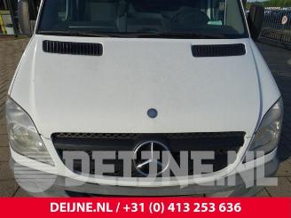 Mercedes Sprinter Sprinter 3,5t (906.63), Van, 2006 / 2020 310 CDI 16V picture 33