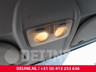 Fiat Doblo Doblo Cargo (263), Van, 2010 1.6 D Multijet picture 22