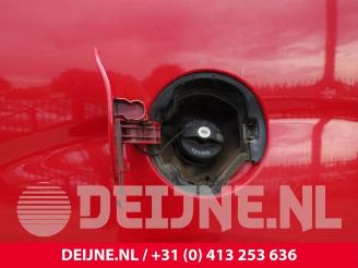 Fiat Doblo Doblo Cargo (263), Van, 2010 1.6 D Multijet picture 33