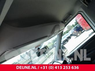 Fiat Doblo Doblo Cargo (263), Van, 2010 1.4 16V picture 22