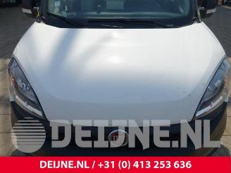 Fiat Doblo Doblo Cargo (263), Van, 2010 1.4 16V picture 35