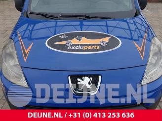 Peugeot Partner Tepee Partner Tepee (7A/B/C/D/E/F/G/J/P/S), MPV, 2008 / 2018 1.6 HDiF 90 16V Phase 1 picture 35