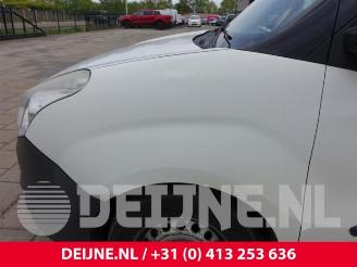 Opel Combo Combo, Van, 2012 / 2018 1.3 CDTI 16V ecoFlex picture 9