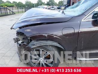 Volvo Xc-60 XC60 II (UZ), SUV, 2017 2.0 T8 16V Recharge, Twin Engine AWD picture 10