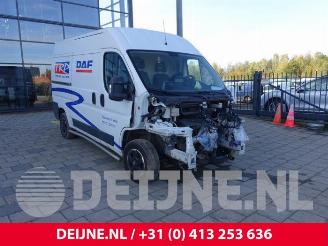 Autoverwertung Fiat Ducato Ducato (250), Van, 2006 2.3 D 130 Multijet 2019/6