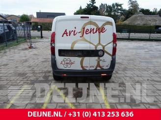 Fiat Doblo Doblo Cargo (263), Van, 2010 1.6 D Multijet picture 6